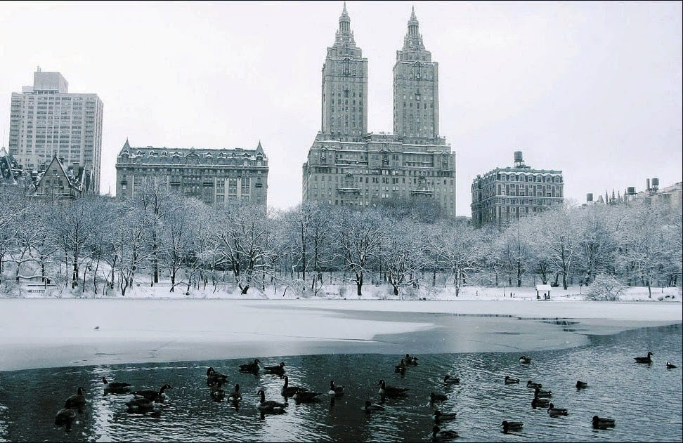 Clima e temperatura em Nova York Clima e temperatura em Nova York