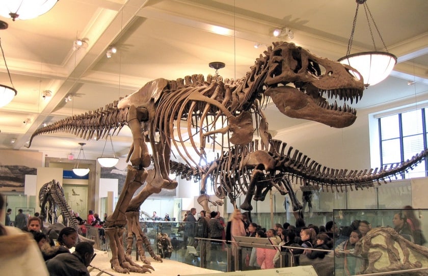 New York CityPass - Museu Historia Natural New York CityPass - Museu Historia Natural