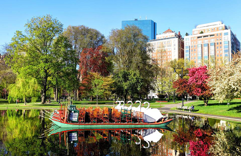 Boston Public Garden